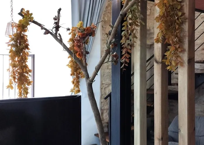 Jerez Palace House Херес-де-ла-Фронтера